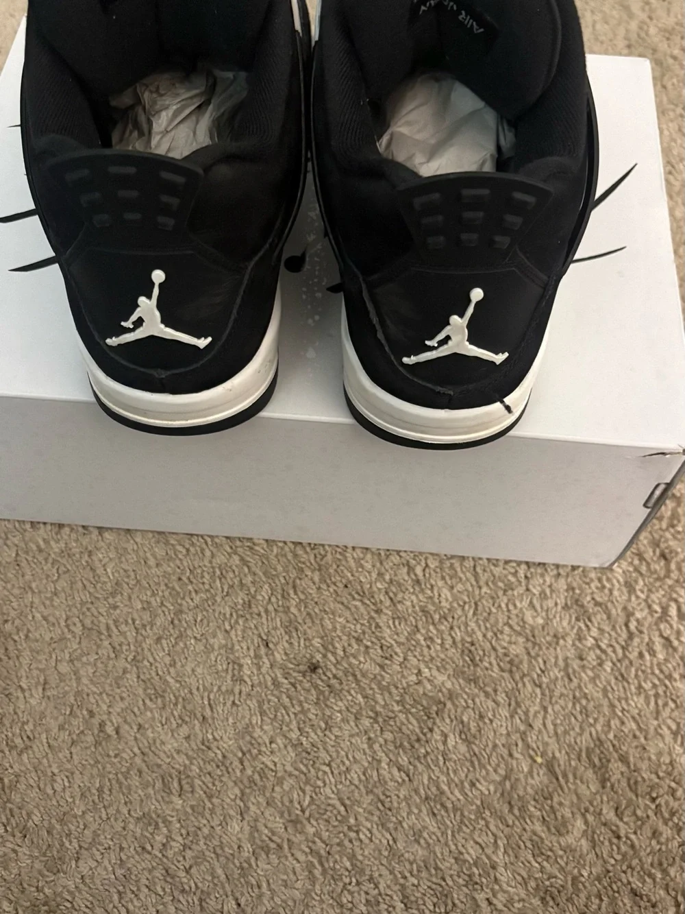 Jordan iconic design